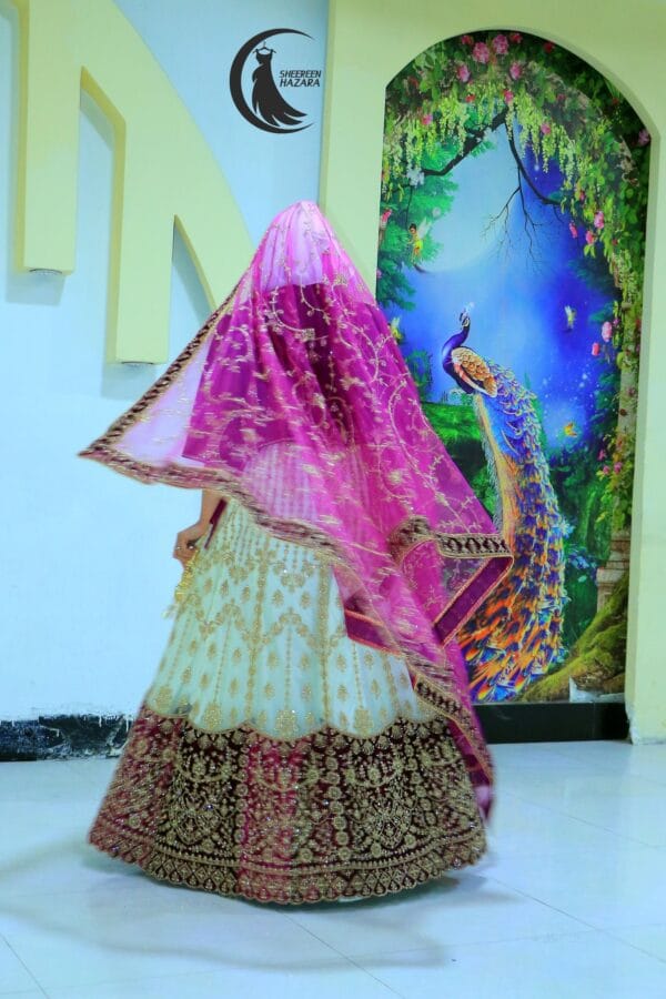 Sari daman